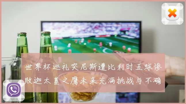 世界杯巡礼突尼斯遭比利时五球惨败迦太基之鹰未来充满挑战与不确定性